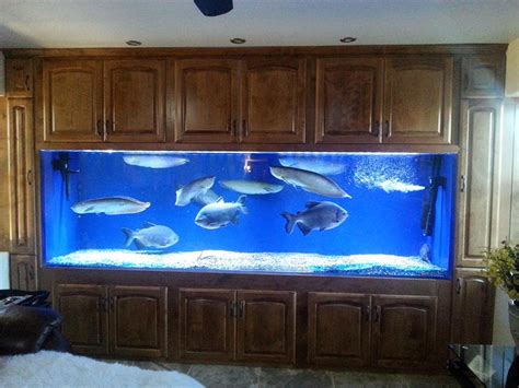 500 gallon fish tank